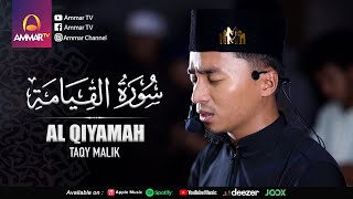 SURAT AL QIYAMAH 1-19 \u0026 26-40 || TAQY MALIK || IMAM SHOLAT MERDU