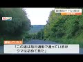 ドラレコがとらえた「道路を横切るクマ」車を運転中にクマに遭遇したらどうしたら良いのか？専門家に聞いてみると…