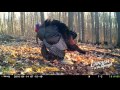 Amazing TrailCamera Video of Tom Breeding Hen