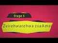 learn shona zimbabwean roora process explained step by step