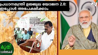 പ്രധാനമന്ത്രി ഉജ്ജ്വല യോജന 2.0 യ്ക്ക് ഇപ്പോൾ അപേക്ഷിക്കാം|pmuy|aadhar|uidai|pmmodi|wheat|lpgsubsidy|