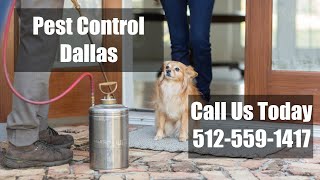 Pest Control Dallas TX - Domestic Exterminators Emergency Termite Control & Bed Bug Control