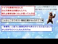 【2chまとめ】【衝撃】日本人はなぜ時間厳守できる？ ドイツ人記者が東京メトロで見た真髄