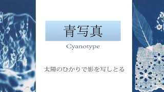 「おうちでワークショップ 青写真」参加者作品のスライドショー 2020.12-2021.01