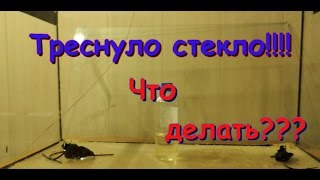 Ремонт аквариума. Замена треснутого стекла своими руками