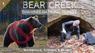 Exploring BEAR CREEK in the Shawnee National Forest | 5 Waterfalls, One Tunnel, and How MANY Bears?