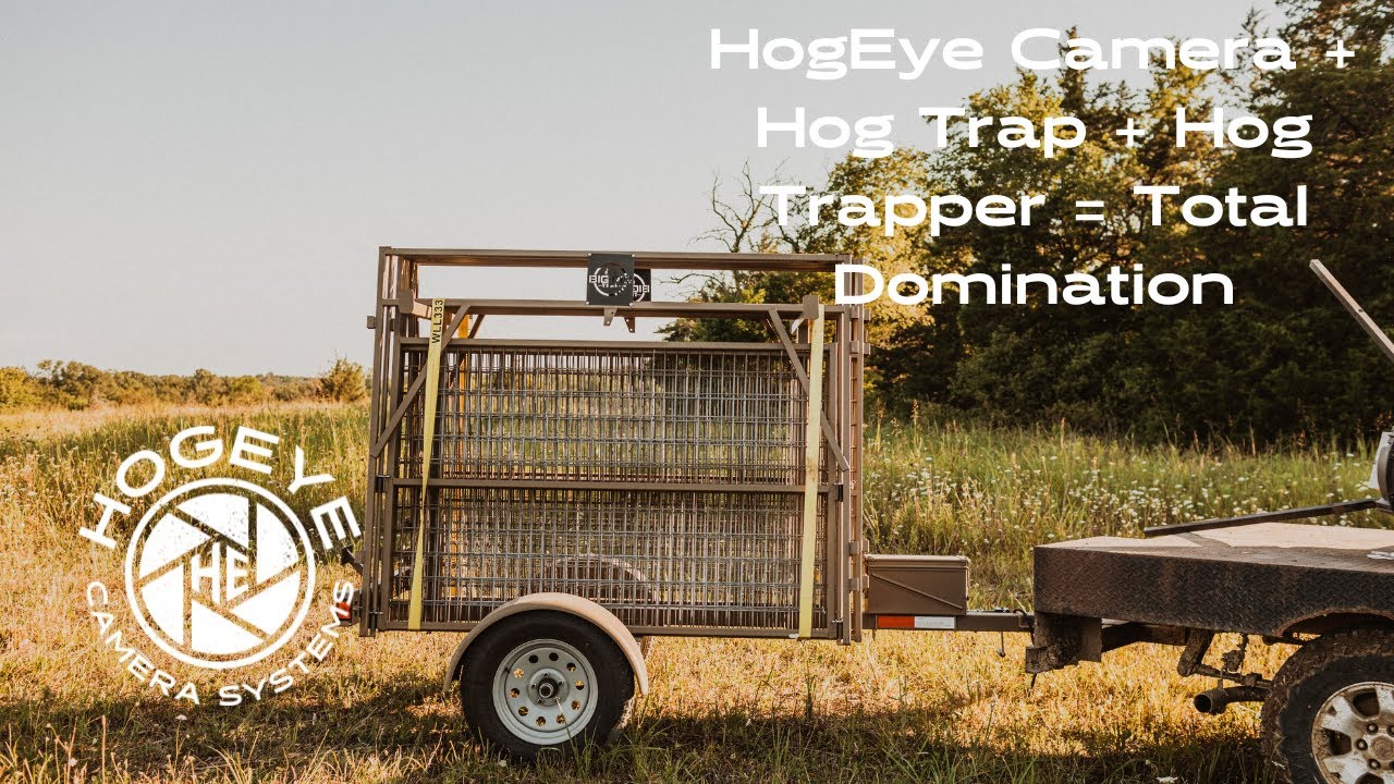 HogEye Camera + Hog Trap + Hog Trapper = Total Domination - YouTube