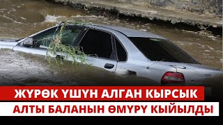 Жүрөк үшүн алган кырсык. Алты баланын өмүрү кыйылды