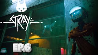 Stray | Episode 6 | The Hidden City – Uncovering New Discoveries!