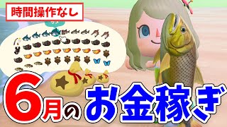 【あつ森】6月の効率的なお金の稼ぎ方を徹底解説！時間操作なしの魚や虫を使った簡単な最新ベル稼ぎ方法を紹介！【あつまれどうぶつの森 攻略まとめ】