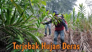 Berpetualang dan Terjebak hujan deras di pondok | Kang kumang