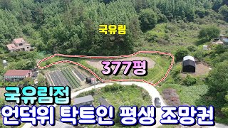 양평토지매매[891번] 국유림 접하고 토지 앞 탁트인 평생 조망권 평당 40만원대 집짓고 살기 좋은 남서향의 토지