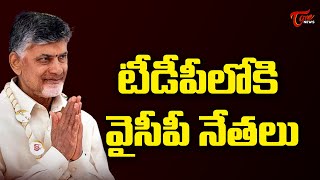 టీడీపీలోకి వైసీపీ నేతలు | YCP Leaders Joins TDP at Jaggampeta | TOne News