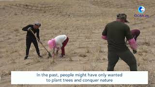 GLOBALink | Desert turns into oasis in NW China