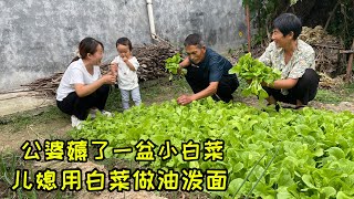 公婆薅了一盆小白菜，儿媳做成油泼面，辣椒和油真多，全家吃哩香