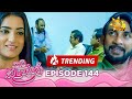 Paata Kurullo - පාට කුරුල්ලෝ | Episode 144 | 2024-11-27 | Hiru TV