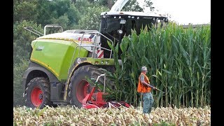 Maishäckseln 2019 | Claas | Fendt