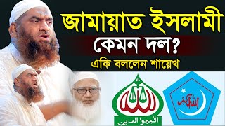 জামায়েত ইসলামী কেমন দল= একি বললেন =মামুনুল হকের ।। Mamunul Haque ।। নতুন ওয়াজ = 2024