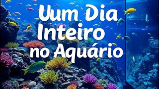 Um dia inteiro no aquaRio o maior aquário da América Latina