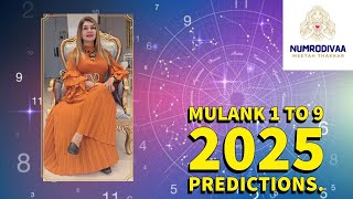 How Will 2025 be for Mulank 1 to 9? | Numerology Predictions 2025 | Numrodivaa