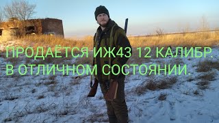 КАКОЕ РУЖЬЁ ЛУЧШЕ НА 50 МЕТРОВ - ИЖ43 ИЛИ ИЖ18?