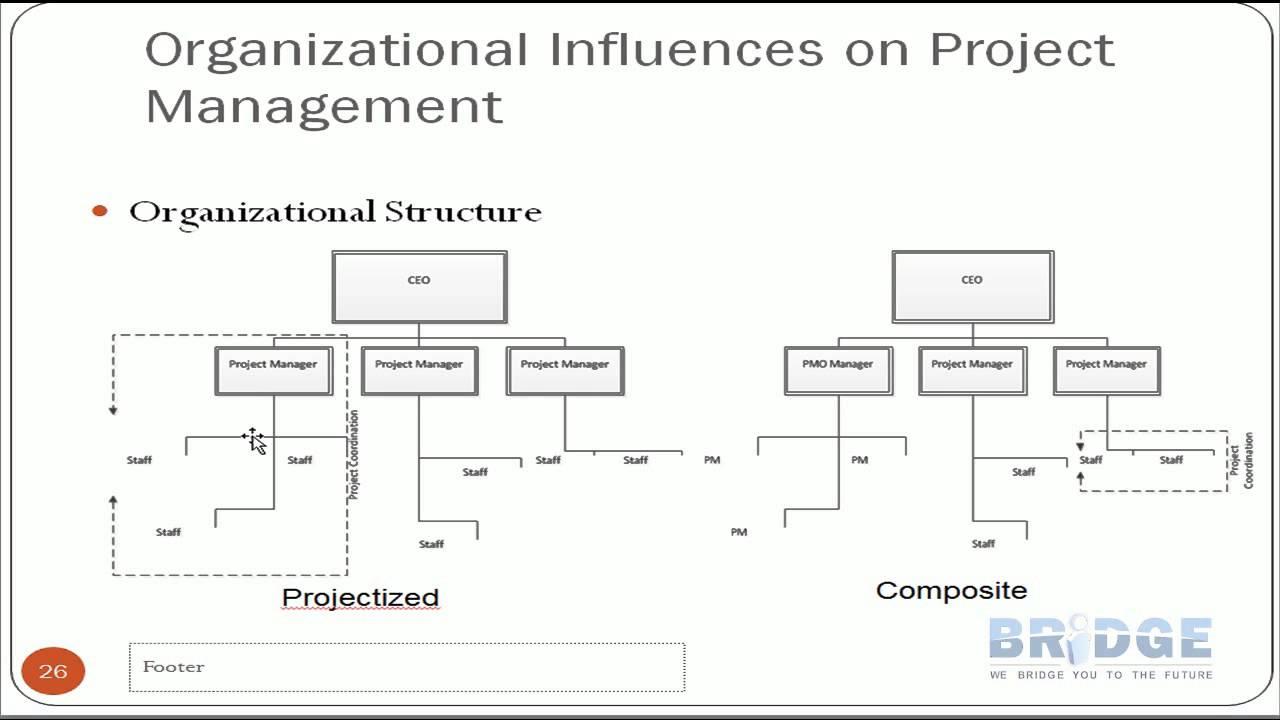 Organizational Structures En Youtube