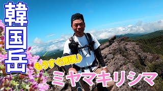 【登山】ミヤマキリシマを見てみたい！九州にある日本百名山霧島山（韓国岳）に登ります♪