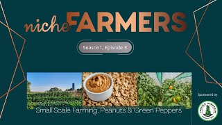 Niche Farmers Episode 3 | Small Farmer Starter Packs, Green Peppers \u0026 Peanuts.