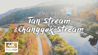 [✈4K Drone] 하늘에서 본 성남의 가을! - 탄천, 창곡천 │ Tan Stream \u0026 Chaggok Stream