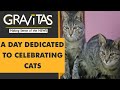 Gravitas: International cat day