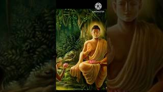 Buddha quotes| MOTIVATIONAL VIDEO | buddha motivational video