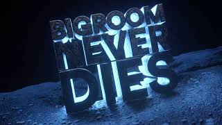 Hardwell & Blasterjaxx feat. Mitch Crown - Bigroom Never Dies (Visual )