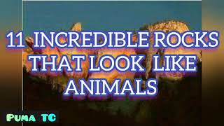 11 Incredible Rocks That Look Like Animals | Amazing Nature | Puma TC Amazing World