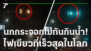 ไวจริง ๆ แค่พริบตาเดียว ไฟเขียวก็หายไป | 30-11-65 | ห้องข่าวหัวเขียว