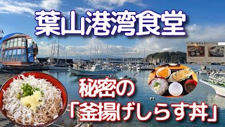 【湘南・横浜美味い店】「葉山港湾食堂」の秘密の「釜揚げしらす丼」#湘南 #湘南グルメ #旅グルメ #湘南ランチ