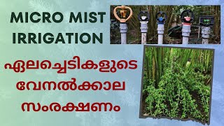 micro mist irrigationഏലത്തോട്ടത്തിൽ മിസ്ററ് എങ്ങനെ ഇടാം, എന്തൊക്കെ കാര്യങ്ങൾ നമ്മൾ ശ്രദ്ധിക്കണം