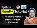Python NumPy Tutorial 11 - Scalar vs Vector vs Matrix vs Tensor in NumPy