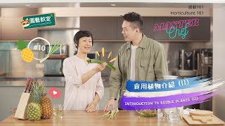 【園藝101】園藝教室#10：食用植物介紹 II