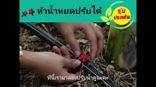 หัวน้ำหยดปรับได้ รุ่นประหยัด