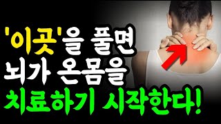 아픈 사람의 99%는 목이 뭉쳐 있다! 이곳을 풀면 뇌가 온몸을 치료하기 시작한다! 솔직히 여기를 펴내야해요... / 오디오북 명언 인생조언 건강정보