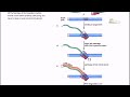 transposition of a poly a retrotransposon