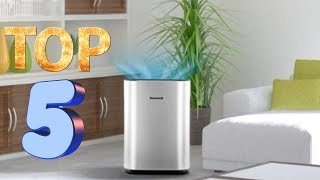 Best Air Purifiers for Allergies - Remove All Pollutants From The Air