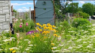 Don't Let Perfectionism Ruin Your Love of Gardening