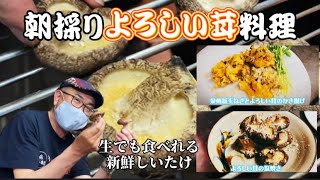 【よろしい茸料理】塩焼きとかき揚げと魔法の粉で最高に美味しい【堀江店】