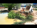 This is video New project Landfilling using Bulldozer komatsu D31p Working push soil / Dump truck 5T