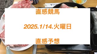 直感競馬 2025.1/14.火曜日 直感予想