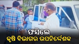 Vigilance Dept Arrests Deputy Director of Agriculture Department Koraput || Kalinga TV