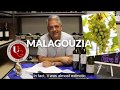 Greek Grapes 101 - Malagouzia