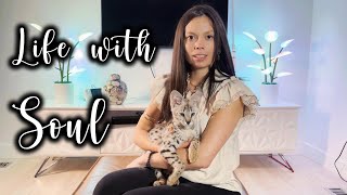 Life with SOUL - A F1 Savannah Kitten