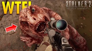 S.T.A.L.K.E.R. 2 - TOP 100 WTF \u0026 FUNNY Moments